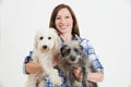Studio Shot Of Woman With Two Pet Lurcher Dogs Royalty Free Stock Photo