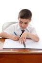 Studious boy doing school work Royalty Free Stock Photo