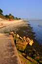 Studland beach Dorset England UK located between Swanage and Poole and Bournemouth Royalty Free Stock Photo