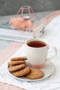 A study break: a cup of tea and a plate of cookies Royalty Free Stock Photo