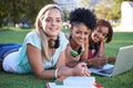 Study friends. Portrait of a group of smiling university students lying on the grass studying.