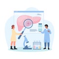 Study of liver disease, tiny hepatologists with magnifying glass research anatomy chart