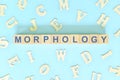 Study morphology in linguistics concept. Wooden blocks word typography flat lay in blue background.
