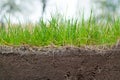 The study of the structure of the soil under the lawn on the example of a photograph of a slice Royalty Free Stock Photo