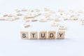 STUDY cube blocks on white background. Wooden blocks with the word STUDY.