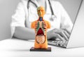 studying 3d human model with internal organs. Medical online checkup concept Royalty Free Stock Photo