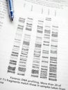 Studying DNA coding profiling Royalty Free Stock Photo