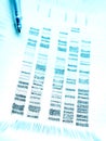 Studying DNA code profiling Royalty Free Stock Photo