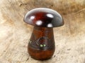 Stuff mushroom
