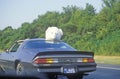 Stuffed animal on top of car on New Jersey Turnpike, NJ