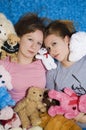 Stuffed Animals Royalty Free Stock Photo