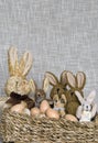 Stuffed Animals Vintage Easter Bunnies Royalty Free Stock Photo