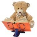 Stuffed bear reading a book Royalty Free Stock Photo