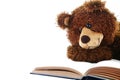 Stuffed bear reading a book isolated on white Royalty Free Stock Photo