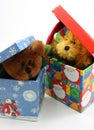 Stuffed bear toys peaking out of Christmas boxes