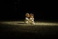 Stuffed bride and groom bears standing together with LED heart on dark foggy background.