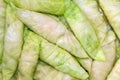 Stuffed cabbage rolls