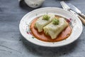 Stuffed cabbage rolls Hungarian cuisine on a white plate. Royalty Free Stock Photo