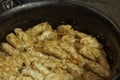 Stuffed cabbage rolls in a kettle Royalty Free Stock Photo