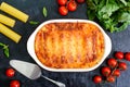 Stuffed cannelloni with bechamel sauce. Cannelloni pasta baked with meat, cream sauce, cheese on a black background. Top view, Royalty Free Stock Photo