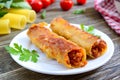 Stuffed cannelloni with bechamel sauce. Cannelloni pasta baked with meat, cream sauce, cheese on a wooden background Royalty Free Stock Photo