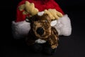 Stuffed with a certain inside a christmas hat Royalty Free Stock Photo