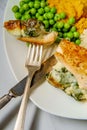 Stuffed Chicken Breast Royalty Free Stock Photo