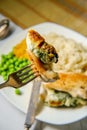 Stuffed Chicken Breast Royalty Free Stock Photo