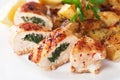 Stuffed chicken breast Royalty Free Stock Photo