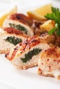 Stuffed chicken breast Royalty Free Stock Photo
