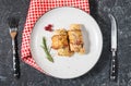 Stuffed chicken breast wrapped in bacon on a plate on stone table Royalty Free Stock Photo