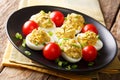 Stuffed deviled eggs with canned tuna and avocado served with to Royalty Free Stock Photo