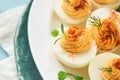 Stuffed or deviled eggs with paprika and parsley on blue plate for easter table. Traditional dish for Easter. Healthy diet food Royalty Free Stock Photo