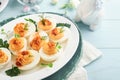 Stuffed or deviled eggs with paprika and parsley on blue plate for easter table. Traditional dish for Easter. Healthy diet food Royalty Free Stock Photo