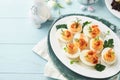 Stuffed or deviled eggs with paprika and parsley on blue plate for easter table. Traditional dish for Easter. Healthy diet food Royalty Free Stock Photo