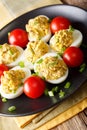 Stuffed deviled eggs with tuna and avocado served with tomatoes Royalty Free Stock Photo