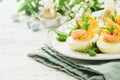 Stuffed or deviled eggs yolk, shrimp, pea microgreens with paprika for easter table decorate fresh cherry or apple blossoms on Royalty Free Stock Photo