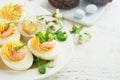 Stuffed or deviled eggs yolk, shrimp, pea microgreens with paprika for easter table decorate fresh cherry or apple blossoms Royalty Free Stock Photo
