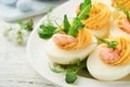 Stuffed or deviled eggs yolk, shrimp, pea microgreens with paprika for easter table decorate fresh cherry or apple blossoms Royalty Free Stock Photo