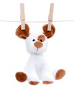 Stuffed dog hanging to dry Royalty Free Stock Photo