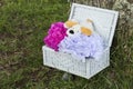 Stuffed dog lying in wicker box on green grass Royalty Free Stock Photo