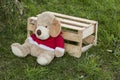 Stuffed dog lying in a wooden box on the green grass Royalty Free Stock Photo