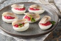 Stuffed eggs with beets and salted fish herring close-up in a plate. Horizontal Royalty Free Stock Photo