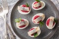 Stuffed eggs with beets and salted fish herring close-up in a plate. Horizontal top view Royalty Free Stock Photo