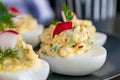 Stuffed eggs on plate close up Royalty Free Stock Photo