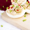 Stuffed eggs with tuna, olives and paprica