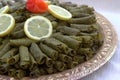 Stuffed grape leaves. Dalma Royalty Free Stock Photo