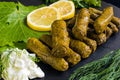 Stuffed grape leaves Royalty Free Stock Photo