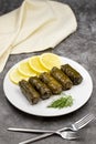 Stuffed grape leaves with olive oil on a dark background. Delicious dolma yaprak sarma. Royalty Free Stock Photo