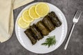 Stuffed grape leaves with olive oil on a dark background. Delicious dolma yaprak sarma. Royalty Free Stock Photo